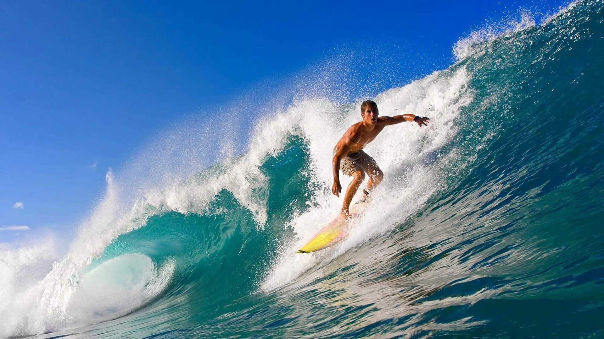 荷兰马术协会与英国马术协会签署合作协议,共同举办国际马术赛事。